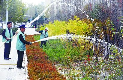 園林綠化養(yǎng)護