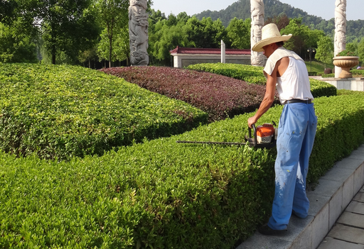 園林綠化養(yǎng)護(hù)
