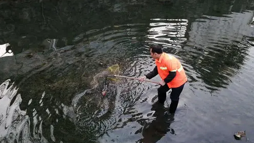 河道保潔：水域保潔都有什么要求呢